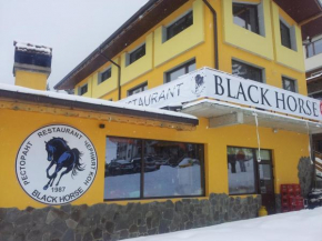 Отель Apartments Black Horse, Пампорово